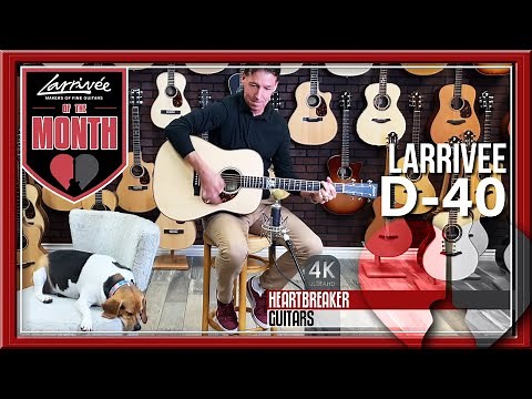 Larrivee of the Month - D40 Bluegrass Edition with Brendan and Mike Romano | 4k Video