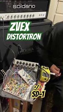 ZVEX Distortron +/- Boss SD-1