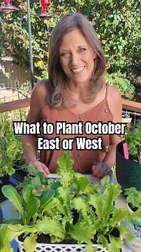 What to Plant in October - Yes you can!