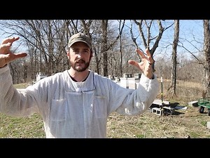 Breaking The Honey Dome - Spring Hive Management #2