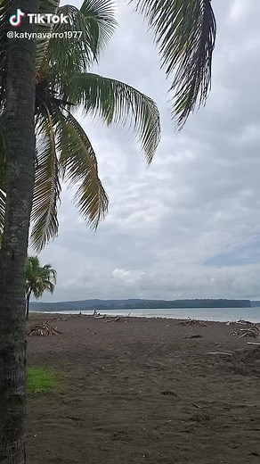 Os vídeos de vamx.1 (@vamx.1) com som original - vamx.1