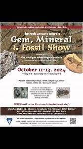 Michigan Rocks & Minerals Michigan Mineralogical Society | Michigan Rocks & Minerals