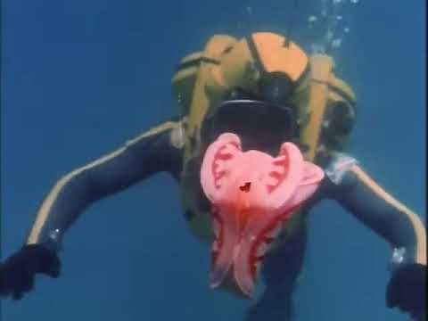 The Undersea World of Jacques Cousteau - E02 - Savage World of the Coral Jungle - Documentary