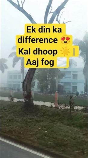 Kal dhoop, aaj fog – nature ka surprise 😍🌫️#fogday #weatherchange #naturevibes #morningview #misty😘