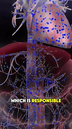 38K views · 482 reactions | Aspirin Absorption Explained (3D Animation)”: #AspirinAbsorption #Pharmacology #3DAnimation #MedicalAnimation #DrugMechanism #HowItWorks #MedicineExplained #Biochemistry #PharmaEducation #HealthScience #AnatomyAnimation #ScienceVideo #MedicalLearning #EducationAnimation #ScienceExplained | Medical Hub | Facebook
