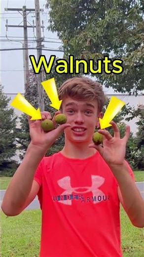 I Will Teach You How to Juggle…🤯