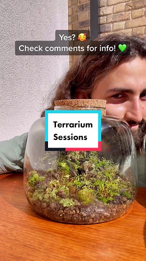 DIY Terrarium Building: Fun Activity for Friends and Family