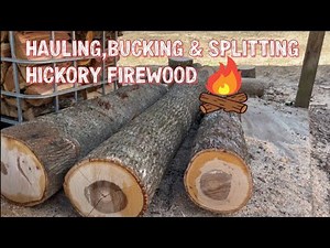 Bucking Up & Splitting Hickory Firewood