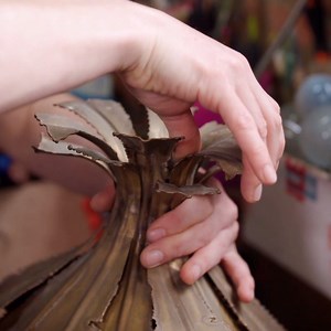 5.6K views · 33 reactions | Jolene and light restorations go together like bread and butter. The perfect match. | Quest | Facebook