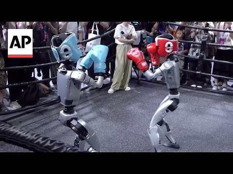 Robots fight in a boxing match at World Robot Conference in China