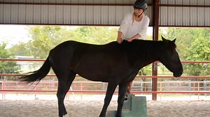 NO halter, NO bridle, NO ropes and a formerly wild mustangs that was out of chances...Perhaps there is a better way of gentling these mustangs and teaching them to live in our world that makes the transition easier? See below for the full story. * * * * * * * * * * * * * * * * * * * There’s dreaming big, and then there is dreaming almost impossible... Which will you choose? Fate, destiny, serendipity... A surreal series of events in which everything in my life has led up to this very moment. One