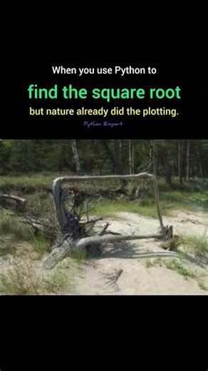 🌳 Python Found the Square Root in Real Life! 🤯 #Python #developer #programming #coding #tech #root