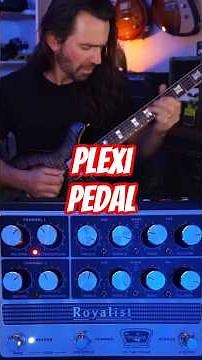 Ultimate Plexi Pedal || Tone King Royalist #guitarist #guitar