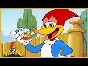 Pica-Pau em Português | Cyrano De Pica-Pau | Compilação De 1 Hora | Desenhos Animados AO VIVO