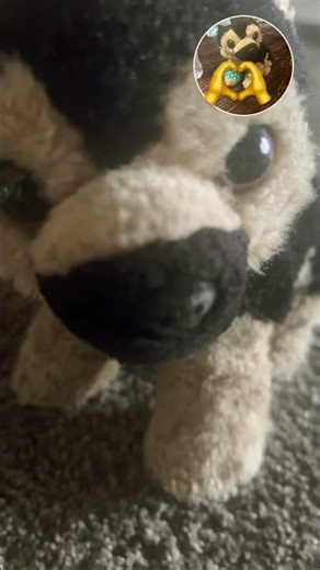 Choice meme#fpyシ #ft copper#