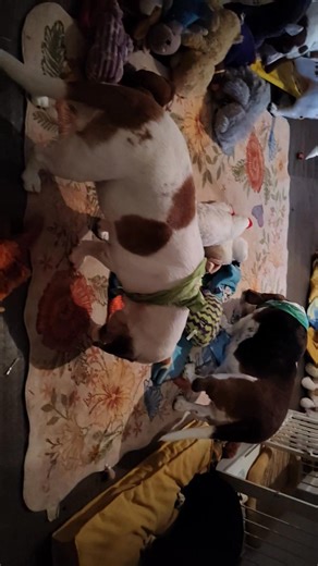 Have a good night going find a movie to watch plus my knee staring to hurt | Sherry Sherry