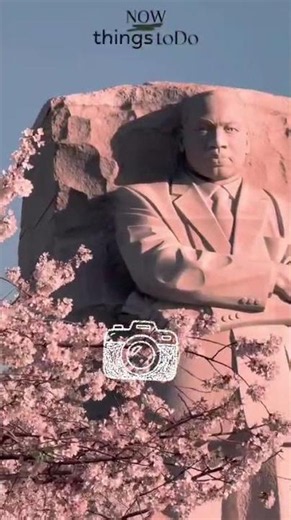 Washington DC Cherry Blossom Walking Tour #WashingtonDC #SpringTravel #WalkingTour