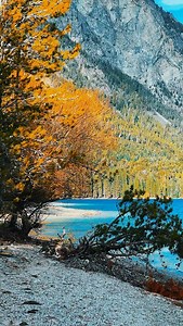 Puerto Patriada, a solo 15 km de El Bolsón, es un rincón encantado donde el bosque se sumerge en las aguas cristalinas del Lago Epuyén. Entre aromas de cipreses y silencio de montaña, este paraíso invita al alma a detenerse, respirar hondo y dejarse envolver por la calma. Es un lugar donde el tiempo parece ceder, abriendo espacio a una conexión más profunda con uno mismo y con la naturaleza que nos rodea, como si cada brisa y cada reflejo contaran un secreto antiguo. | El Bolson Patagonia Argent