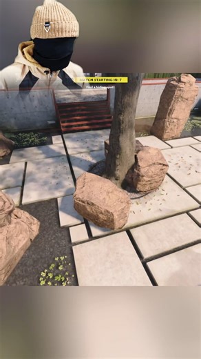 CAN YOU SPOT ME? I’M HIDING AS A STONE!! 👀🪨