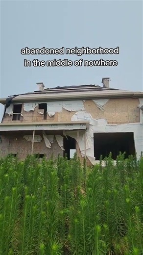Abandoned neighborhood in the cornfields