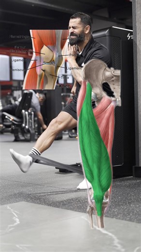 This simple exercise directly targets dynamic stability and neuromuscular control.