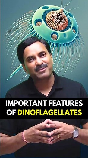 Let’s know about Important Features of Dinoflagellates 🙌 #biologymastery #foryou #neet