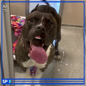 209K views · 980 reactions | Just look. Don't touch.  | The Tab | Facebook