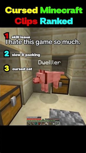 Ranking Cursed Minecraft Clips 🤣 Part 1