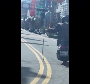 Motorcycle rider carries live snake along road