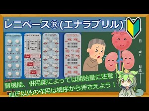 【薬剤師解説】レニベースⓇ（エナラプリル）は様々な作用を持つのでそれぞれしっかり考えよう【ずんだもん】
