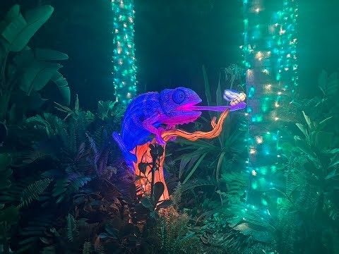 Aquatica New Christmas Illuminate event
