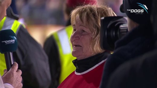 Who can forget the first running of the Ladbrokes.com.au 715, and the hero 'Jessie' who gave Maree Smith and Miss Ezmae a lift to the track after the car broke down?! Can you think of any similar stories? #thedogs #greyhoundracing #greyhounds Ladbrokes Gardens | The Dogs