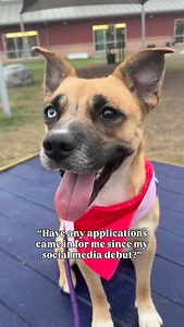 1.8K views · 233 reactions | Pupdate: Moxy has been transferred into...