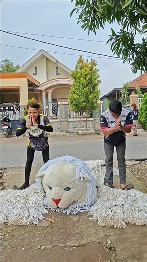 Tutorial cara memakai kostum can macanan