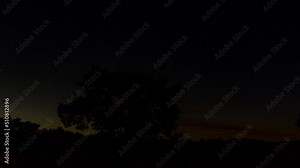 Time lapse of tree in sand dunes at night with the sun slowly rising and clouds passing in the sky - Pan right to left