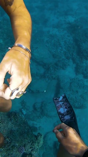 diver finds solid gold ring lost at the beach