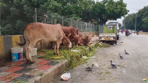 【4K】印度一线城市海德拉巴街头边走边拍，位于Sumitra Sapandana Enclave附近，市区中心地段