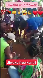 JIWAKA STRING BAND. #Jiwaka #jiwakastringband #fyp #localmusic #localmusicians #for | Konzi Kinzi