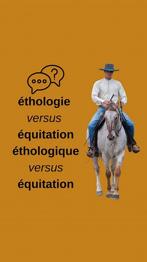 Hélène Ralda | vulgarisation scientifique & good vibes ✨ on Instagram: "Et si en 2025, se baser sur les théories de l’apprentissage et la cognition équine quand on interagit et/ou travaille avec un cheval, ça s’appelait juste de « l’équitation » ? C’est une vraie question que je me pose. Dans les pays francophones le terme « équitation éthologique », bien que maladroit, est apparu à une époque où le monde du cheval en avait besoin. Il a permis à de nombreux cavaliers d’avoir des déclics et de dé