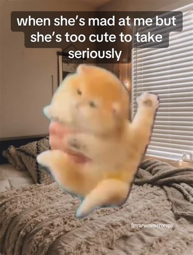 Rearviewmirror App on Instagram: "she’s just too cute when she’s angry Download Rearviewmirror: Couples app via the link in bio! Available on both App Store and Play Store #couple #relatable #relationships #couplegoals #dating"