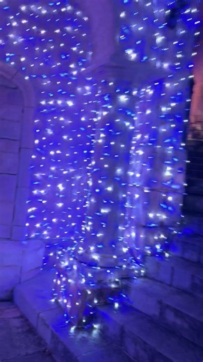 ポルトヨーロッパの夜