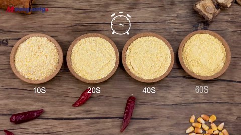 Moongiantgo Grain Mill Grinder Electric 300g Commercial Spice Grinder 1500W Stainless Steel Pulverizer Dry Grinding Machine for Wheat Corn Rice Pepper Herbs Coffee Beans (300g Upright, 110V)