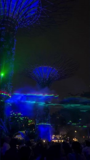 Gardens by the Bay Singapore 🇸🇬 | Supertree Light Show, Cloud Forest & Flower Dome