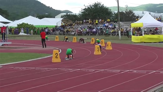 Edwin Allen won class 3 4x100 @ Central Hurdles Relay
