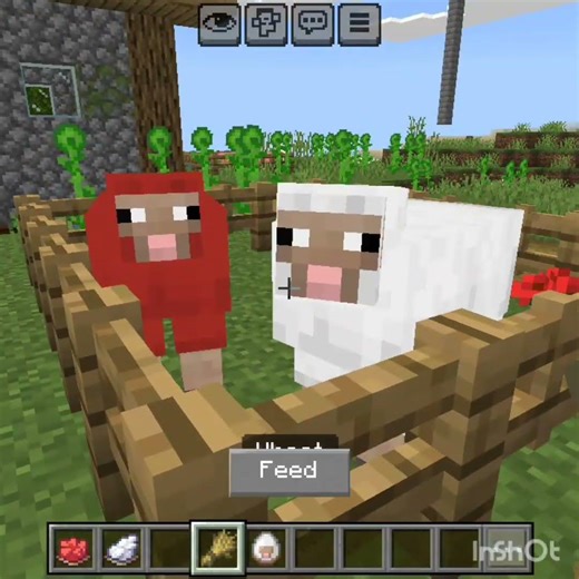 pink 💓💓 #minecraft