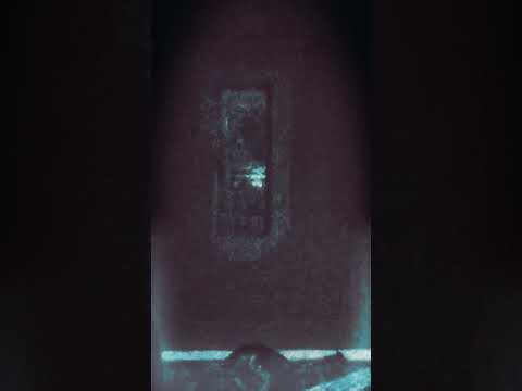 Interdimensional Creatures swarming in through the window