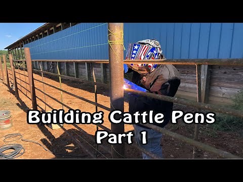 Building Cattle Pens - Part 1