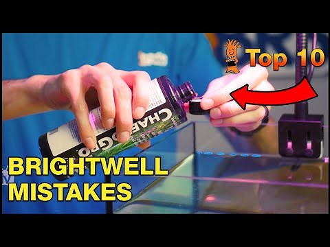 Lessons We've Learned Using Brightwell Aquatics Tools on Our Reef Tanks. Top 10 Ways We Use Them.