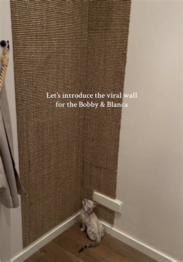 Engaging Play Ideas for Bengal Cats and Kittens