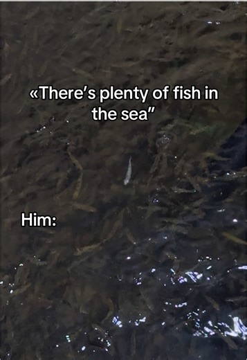 Albino laks?🤷‍♀️ | Fish